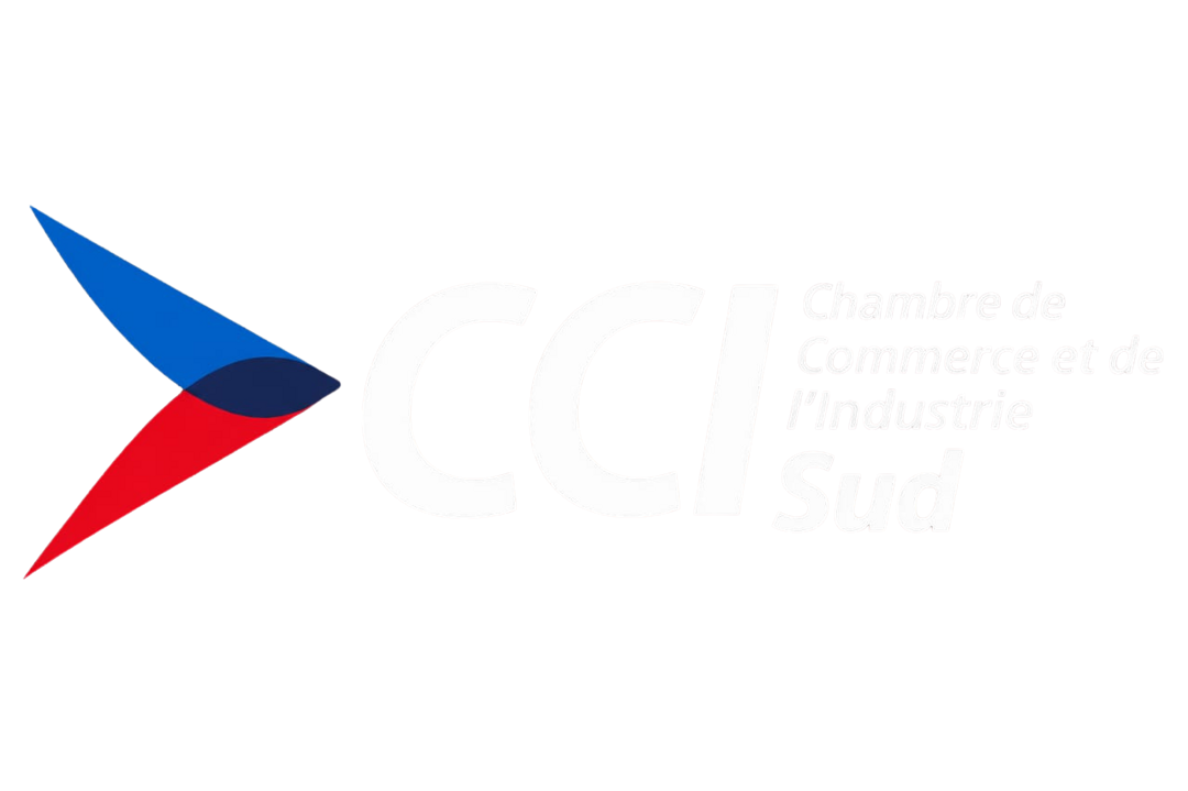 CCI Sud — Chambre de Commerce et d'Industrie du Sud d'Haïti